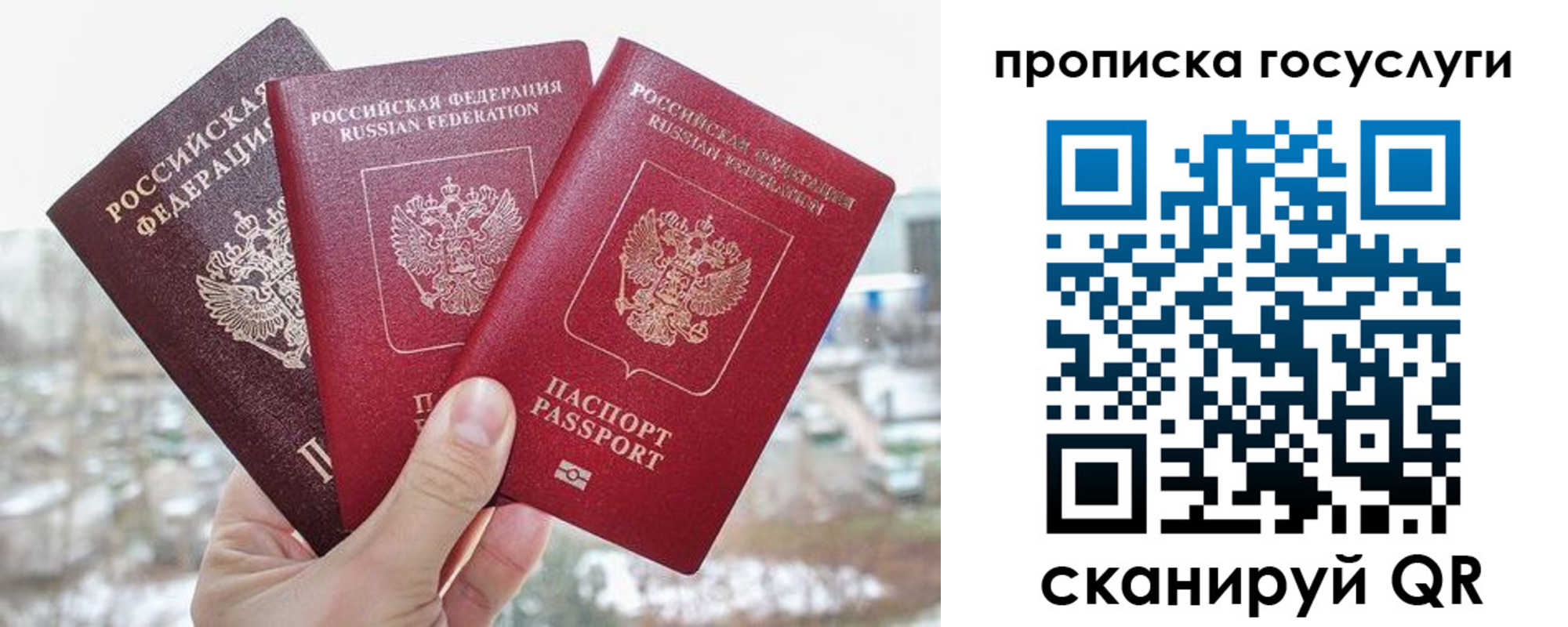 прописка законно в Рославле